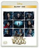 イントゥ・ザ・ウッズ【Blu-ray】