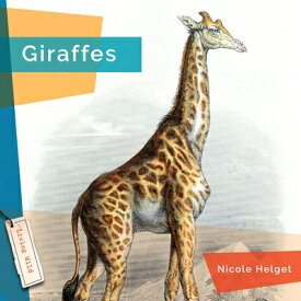 Giraffes GIRAFFES [ Nicole Helget ]