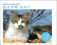岩合光昭×ねこカレンダー（2016）　（［カレンダー］）