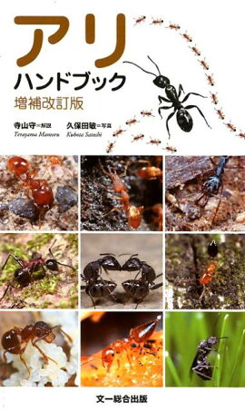 楽天ブックス 身近なアリけんさくブック 大きさ 色 3つのきめてで調べる 吉澤 樹理 本