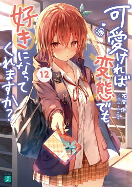 可愛ければ変態でも好きになってくれますか？　12