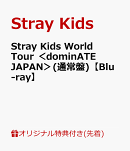 【楽天ブックス限定先着特典】Stray Kids World Tour ＜dominATE JAPAN＞(通常盤)【Blu-ray】(オリジナルL判ブロマイドセット(ソロ絵柄8種セット))