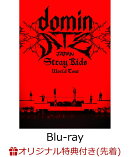【楽天ブックス限定先着特典】Stray Kids World Tour ＜dominATE JAPAN＞(通常盤)【Blu-ray】(オリジナルL判ブロマイドセット(ソロ絵柄8種セット))