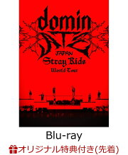 楽天ブックス: Stray Kids World Tour ＜dominATE JAPAN＞(通常盤 
