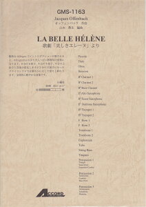 GMS1163@IbtFobNȁ@̌uG[kv@Ґ