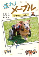 走れ！　メープル