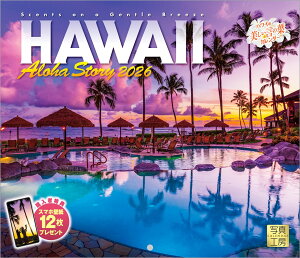 yyVubNXfW^TzwnC Aloha Storyx 2026 J_[ Ǌ| i y^ 210×245z(uPCEX}zǎEo[`wivɍœKȃ_E[h摜) iʐ^H[J_[