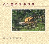 楽天ブックス: 八ケ岳の子ギツネ - 西村豊写真集 - 西村豊 - 9784062081641 : 本