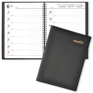 g[_ 2026N 蒠 B5E2TԁEO 26.4 x 19.4cm /1n܂ _ChX^[E_CA[ TD-170 / rWlX