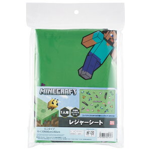 Minecraft ExploreMore }CNtg }CN@LbYW[V[giSj Skater XP[^[ W[V[giSj VS1