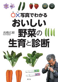 おいしい野菜の生育と診断 [ 高橋広樹 ]