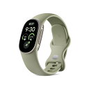 Google Fitbit Edge Satin Pyrite アルミケース /