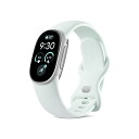 Google Fitbit Edge Polished Silver アルミケー