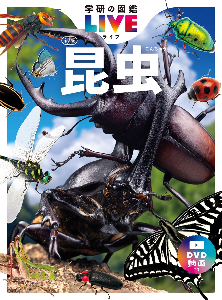 楽天ブックス: 森と水辺の甲虫誌 - 丸山宗利 - 9784486017387 : 本