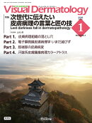Visual　D．　2026年1月号　Vol．25　No．1