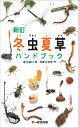 新訂　冬虫夏草ハンドブック [ 盛口　満 ]
