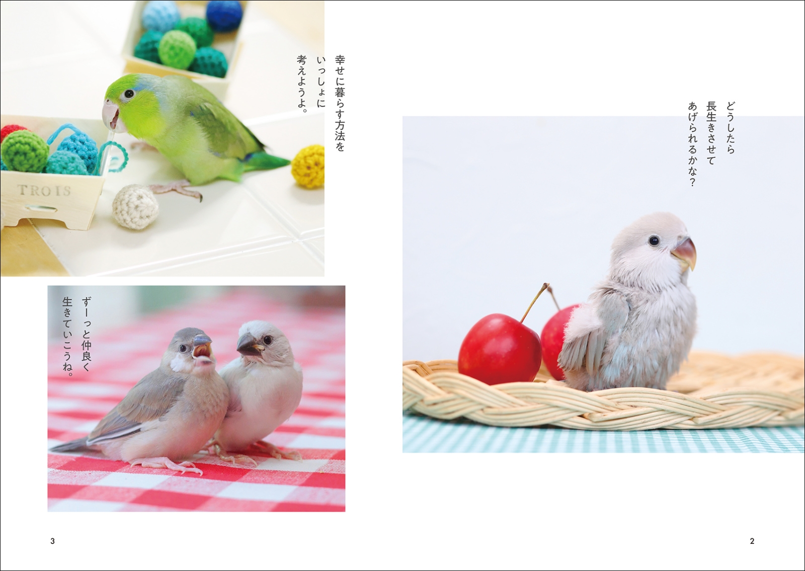 楽天ブックス: 長生きする鳥の育てかた - 愛鳥と末永く幸せに暮らす