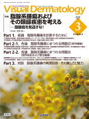 Visual　D．　2026年3月号　Vol．25　No．3