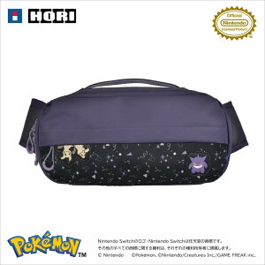 V_[|[` for Nintendo Switch 2 S[Xgp[eB[