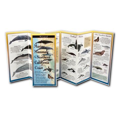 楽天ブックス: Marine Mammals of Northern & Central California - Pieter ...