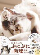 �ڳ�ŷ�֥å�������ǥ�������ŵ�ۤˤ�󤳤Τפˤפ������Ģ 2026(�ˤ�󤳤Υ��ޥ��ɻ桡DL)