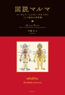 図説マルマ ヨーガとアーユルヴェーダをつなぐインド秘伝の身体論 [ 伊藤 武 ]
