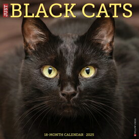 Just Black Cats 2025 12 X 12 Wall Calendar JUST BLACK CATS 2025 12 X 12 W [ Willow Creek Press ]