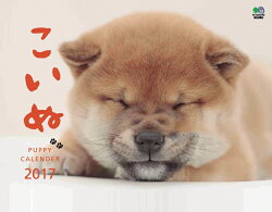 【壁掛】こいぬカレンダー（2017）