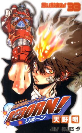 家庭教師ヒットマンREBORN! 33