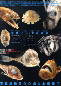 深海魚 韮沢靖 本 楽天ブックス