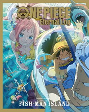 楽天ブックス: 【楽天ブックス限定先着特典+先着特典+他】ONE PIECE 