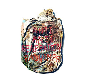ANTI ANTI GENERATION (初回限定盤 CD＋DVD) [ RADWIMPS ]