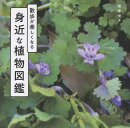 散歩が楽しくなる　身近な植物図鑑