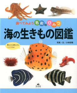 海の生き物について楽しく学べる、「小学生向けの図鑑」が欲しいです。