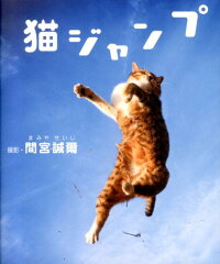 猫ジャンプ