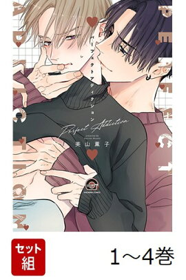 �������� �ѡ��ե����ȥ��ǥ�������� 1-4�����å�