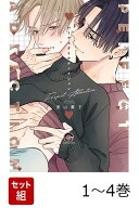 【全巻】 パーフェクトアディクション 1-4巻セット （GUSH　COMICS） [ 美山薫子 ]
