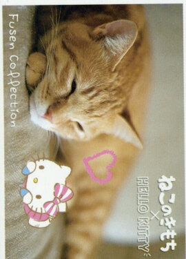 ͤΤߥϥƥդ󥳥쥯1