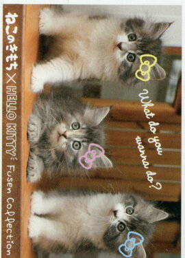 ͤΤߥϥƥդ󥳥쥯2