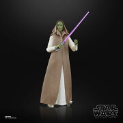 ハズブロ（Hasbro）スター・ウォーズ STAR WARS ブラックシリーズ ジェダイ・マスター ヴァーネストラ・ロウ、アコライト コレクション用15cmアクションフィギュア G1548 正規品