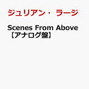 Scenes　From　Above【アナログ盤】
