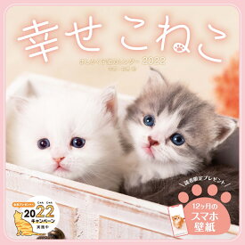 楽天市場 子猫 カレンダーの通販 楽天市場 子猫 カレンダーの通販