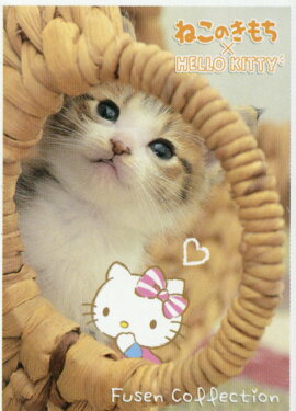 ͤΤߥϥƥդ󥳥쥯3