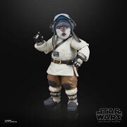 ハズブロ（Hasbro）スター・ウォーズ STAR WARS ブラックシリーズ バジル（ジェダイ・オーダーの追跡者）、アコライト コレクション用15cmアクションフィギュア G1549 正規品