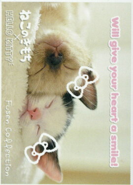 ͤΤߥϥƥդ󥳥쥯4