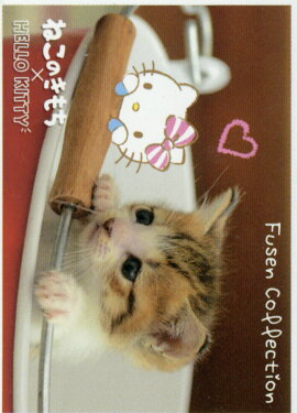 ͤΤߥϥƥդ󥳥쥯5