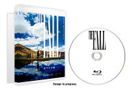 落下の王国 4Kデジタルリマスター【Blu-ray】 [ ターセム ]