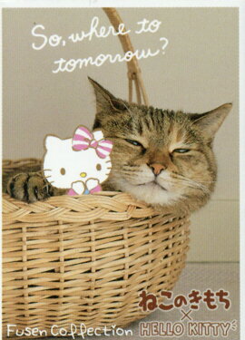 ͤΤߥϥƥդ󥳥쥯6