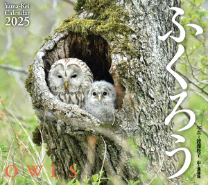 ӂ낤J_[i2025j imJ_[nj