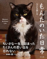 もんたのいた日常 [ もんたの飼い主 ]